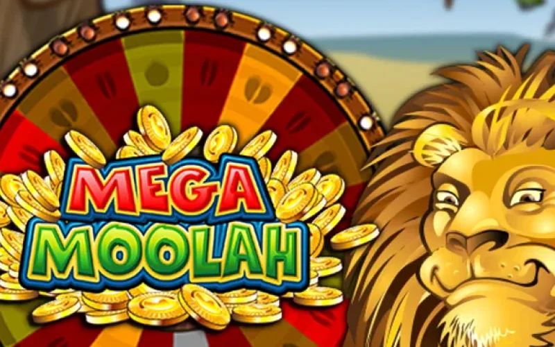 At DBbet Casino, you can compete for huge progressive jackpots in the Mega Moolah game.